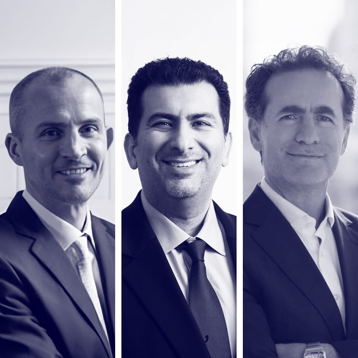 Investment & Partnership Facilitation